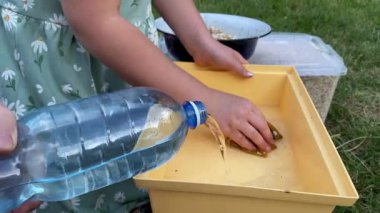 Genç bir baba ve kızı arka bahçede evcil kemirgenlerle ilgilenerek birlikte kaliteli vakit geçirmenin keyfini çıkarıyorlar. Aile ve çocuk, küçük hayvanlarına sevgi dolu bir şekilde açık hava ortamında bakıyorlar.
