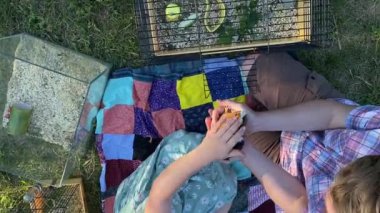 Genç bir baba ve kızı arka bahçede evcil kemirgenlerle ilgilenerek birlikte kaliteli vakit geçirmenin keyfini çıkarıyorlar. Aile ve çocuk, küçük hayvanlarına sevgi dolu bir şekilde açık hava ortamında bakıyorlar.