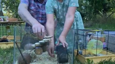 Genç bir baba ve kızı arka bahçede evcil kemirgenlerle ilgilenerek birlikte kaliteli vakit geçirmenin keyfini çıkarıyorlar. Aile ve çocuk, küçük hayvanlarına sevgi dolu bir şekilde açık hava ortamında bakıyorlar.