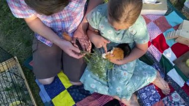 Genç bir baba ve kızı arka bahçede evcil kemirgenlerle ilgilenerek birlikte kaliteli vakit geçirmenin keyfini çıkarıyorlar. Aile ve çocuk, küçük hayvanlarına sevgi dolu bir şekilde açık hava ortamında bakıyorlar.