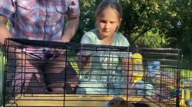 Genç bir baba ve kızı arka bahçede evcil kemirgenlerle ilgilenerek birlikte kaliteli vakit geçirmenin keyfini çıkarıyorlar. Aile ve çocuk, küçük hayvanlarına sevgi dolu bir şekilde açık hava ortamında bakıyorlar.