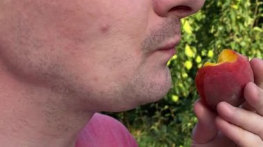 Genç bir adam ağaçlarla çevrili yemyeşil bir parkta gündelik bir öğle yemeğinin tadını çıkarıyor. Rahatlayarak ve yemeğin tadını çıkararak, temiz hava ve doğada biraz dinlenir.