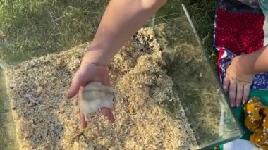 Genç bir baba ve kızı arka bahçede evcil kemirgenlerle ilgilenerek birlikte kaliteli vakit geçirmenin keyfini çıkarıyorlar. Aile ve çocuk, küçük hayvanlarına sevgi dolu bir şekilde açık hava ortamında bakıyorlar.