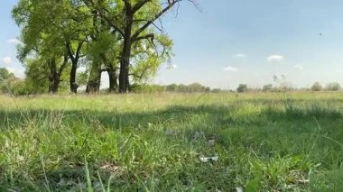 Küçük baba ve oğlu yaz pikniğinin tadını çıkarıyor, birlikte güzel vakit geçiriyorlar. Dışarıdaki eğlenceli aktivitelere katılıyorlar, sıcak güneşin altında mutlu anılar yaratıyorlar.