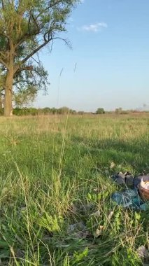 Dikey genç baba ve oğul yaz pikniğinin tadını çıkarıyor, birlikte güzel vakit geçiriyorlar. Dışarıdaki eğlenceli aktivitelere katılıyorlar, sıcak güneşin altında mutlu anılar yaratıyorlar.