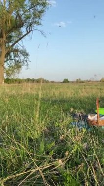 Dikey genç baba ve oğul yaz pikniğinin tadını çıkarıyor, birlikte güzel vakit geçiriyorlar. Dışarıdaki eğlenceli aktivitelere katılıyorlar, sıcak güneşin altında mutlu anılar yaratıyorlar.