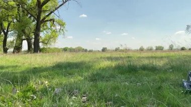 Küçük baba ve oğlu yaz pikniğinin tadını çıkarıyor, birlikte güzel vakit geçiriyorlar. Dışarıdaki eğlenceli aktivitelere katılıyorlar, sıcak güneşin altında mutlu anılar yaratıyorlar.