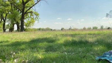 Küçük baba ve oğlu yaz pikniğinin tadını çıkarıyor, birlikte güzel vakit geçiriyorlar. Dışarıdaki eğlenceli aktivitelere katılıyorlar, sıcak güneşin altında mutlu anılar yaratıyorlar.