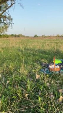 Genç bir baba ve oğlunun yaz pikniğini otlakta birlikte geçirdiği dikey görüntüler. Dışarıdaki eğlenceli aktivitelere katılıyorlar, sıcak güneşin altında mutlu anılar yaratıyorlar.