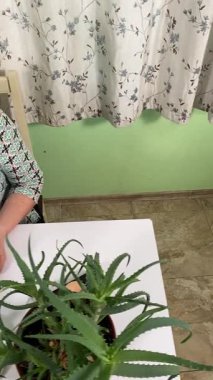 Dikey olarak, bir kadının odak ve özenle yüzüne makyaj yapması ve kapalı bir masada oturması. Evde ayna ve çeşitli kozmetik ürünler kullanarak kişisel güzellik rutininin bir parçası olarak görünüşünü geliştiriyor.