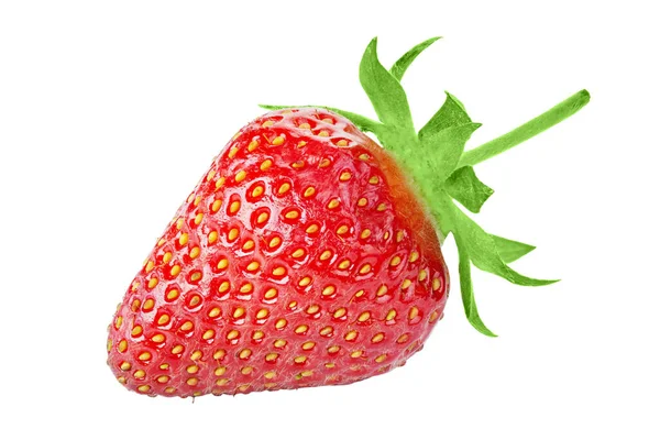 草莓叶与草莓叶隔离在白色的背景 文件包含裁剪路径 — 图库照片
