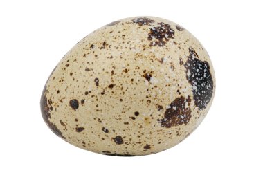 Beyaz arka planda izole edilmiş bıldırcın yumurtası. Dosya kırpma yolu içeriyor.