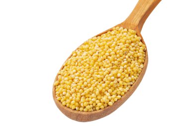 Kuru darı beyaz arka planda izole edilmiş tahta bir kaşıkta inliyor. Tam alan derinliği. Dosya kırpma yolu içeriyor.