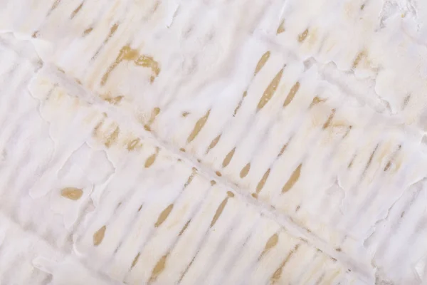 Detalhe Camembert Queijo Brie Close Textura — Fotografia de Stock