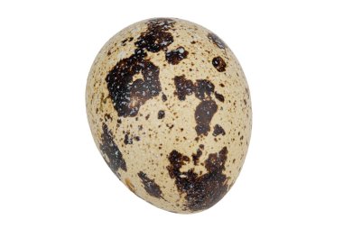 Beyaz arka planda izole edilmiş bıldırcın yumurtası. Dosya kırpma yolu içeriyor.