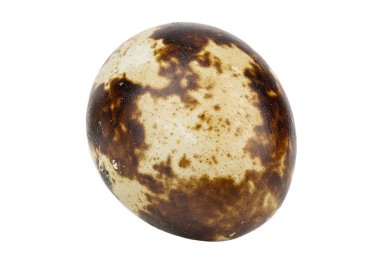 Beyaz arka planda izole edilmiş bıldırcın yumurtası. Dosya kırpma yolu içeriyor.