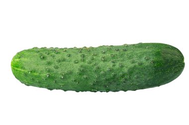 Homemade cucumber. Fresh organic cucumber isolated on white background. File contains clipping path. Full depth of field.