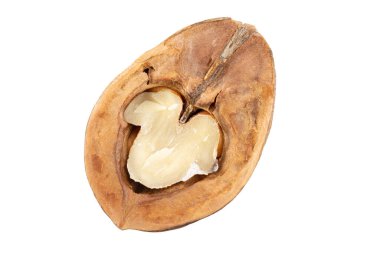 Half a walnut isolated on white background. File contains clipping path. Full depth of field. 