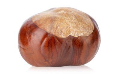 Bir kestane, beyaz bir arka planda izole edilmiş. Dosya bir kırpma yolu içeriyor.