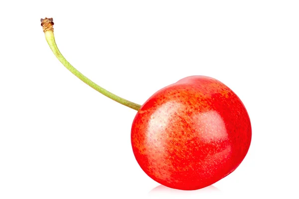 Jedna Dojrzała Czerwona Wiśnia Łodydze Odizolowany Białym Tle Plik Zawiera — Zdjęcie stockowe