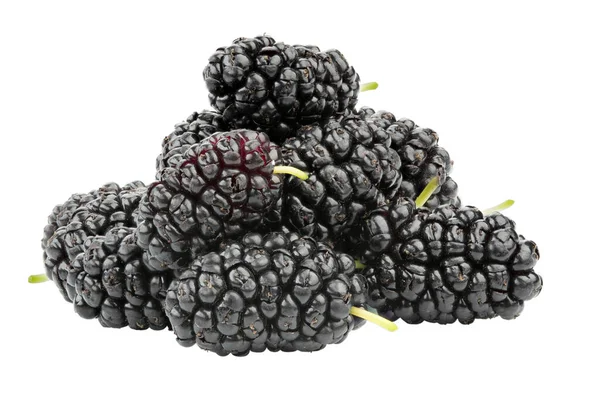 Birçok olgun dut beyaz arka planda izole edilmiş. Dosya kırpma yolu içeriyor