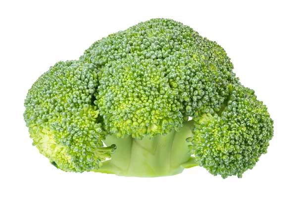 Fresh Broccoli Inflorescence Isolated White Background File Contains Clipping Path — Stock Photo, Image