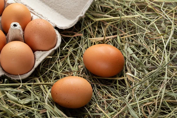 Kamışın üstünde karton tepside ev yapımı tavuk yumurtası. Çiftçilik ve kümes hayvanları