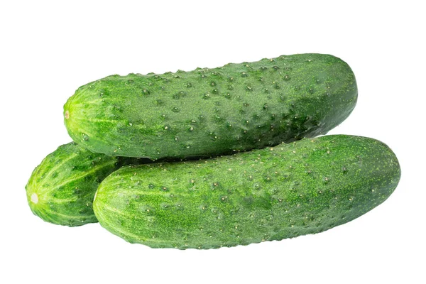 Olgun Yeşil Salatalıklar Beyaz Arka Planda Izole Edilmiş Tam Alan — Stok fotoğraf