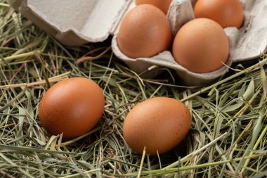 Kamışın üstünde karton tepside ev yapımı tavuk yumurtası. Geleneksel kırsal görünüm