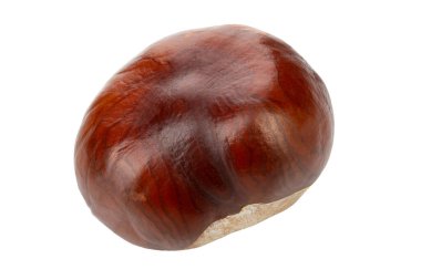 Beyaz arka planda izole edilmiş at kestanesi (Aesculus) meyveleri. Dosya kırpma yolu içeriyor.