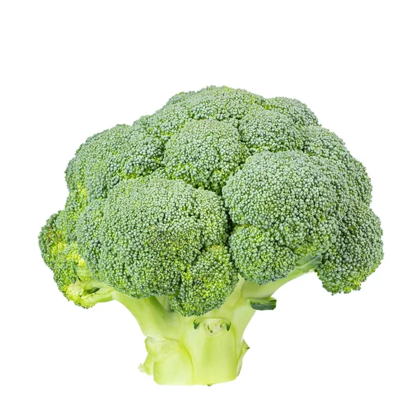 Fresh Broccoli Isolated White Background File Contains Clipping Path Full — Stock Photo, Image