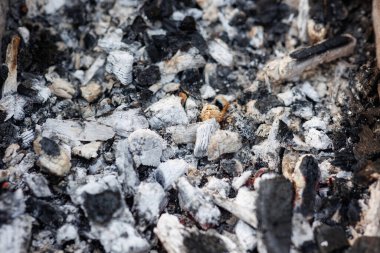 Şiş kebap ve barbekü pişirmek için kömür. Sıcak kömür ve sıcak kül sanat yüzeyinin dokusunu gösterir. Seçici odak.