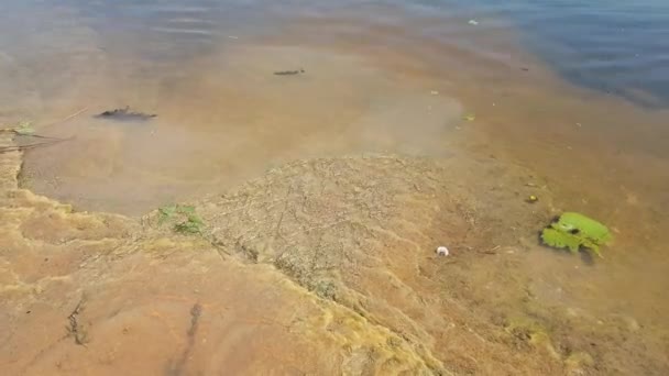 ストームウォータードレイン 街のストームコレクター 川に流れる国内排水 — ストック動画