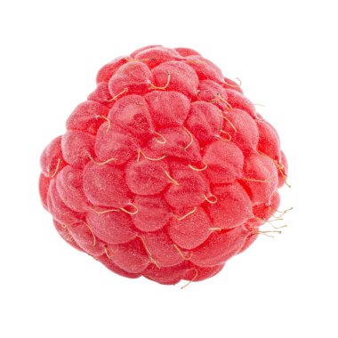 Beyaz arka planda izole edilmiş taze bir ahududu meyvesi. Ayrı böğürtlen. Sağlıklı yiyecekler. Dosya kırpma yolu içeriyor. Tam alan derinliği.