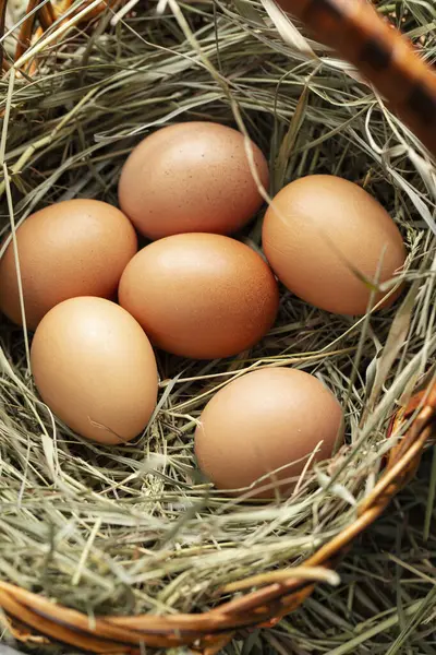 Telur Ayam Dalam Keranjang Dengan Jerami Konsep Pertanian Stok Gambar Bebas Royalti