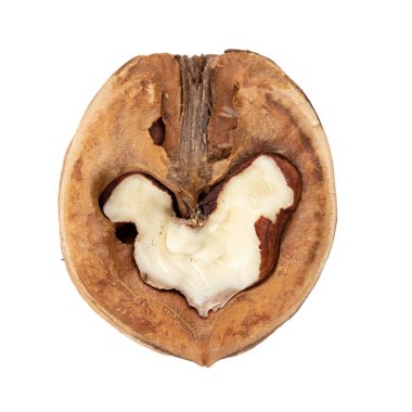 Beyaz arka planda yarım ceviz. Dosya kırpma yolu içeriyor.