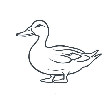 Kaz vektör çizgisi simgesi