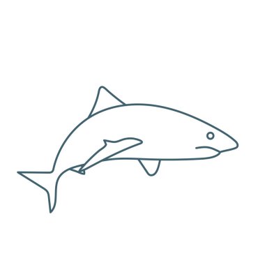 Köpekbalığı ince çizgi simgesi, balık, köpekbalığı çizimi, beyaz arka planda köpekbalığı işareti, doğrusal biçim, ana hatlarda simge, web sembolü.