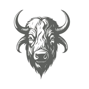 Bufalo baş vektörü, Buffalo logosu, kral, kendine güvenen, şık, dinamik ve profesyonel.