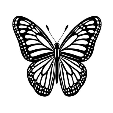 siyah ve beyaz kelebek. vektör illüstrasyonu