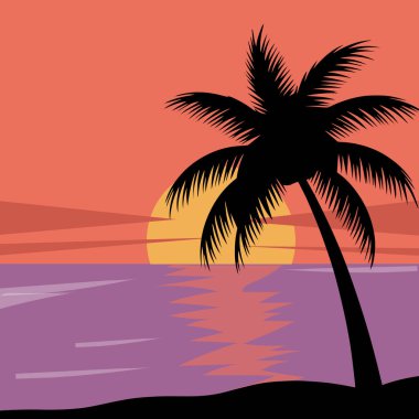 Palmiye ağacı silueti ve günbatımı