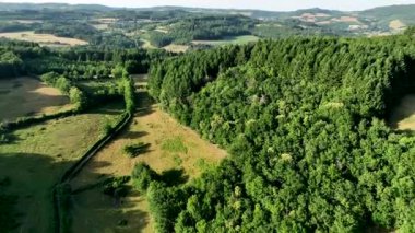 Burgundy, benim küçük harika ülkem