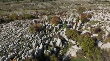 Yandan görülen İdoller Tarlası