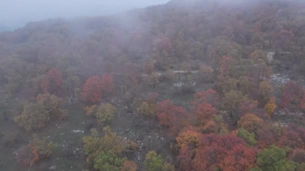 Baou Ormanı Nda Sonbahar Sisi Insansız Hava Aracı Manzarası — Stok video