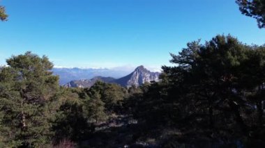 Fir forest in the Alps close to the Clue d'Aiglun canyon drone view