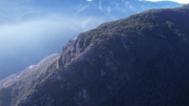 Fir forest on top of an alps mountain seen from the sky
