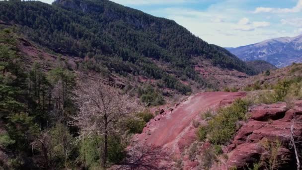 Cians Gorge Mercantour Natuurpark Gefilmd Vanaf Een Drone — Stockvideo