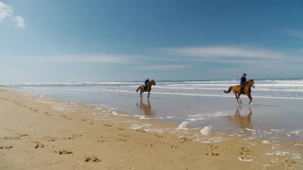 Dwóch Jeźdźców Galopujących Plaży Les Conches Longeville Sur Mer — Wideo stockowe