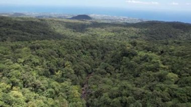 Karayip panoramik insansız hava aracı görünümlü Guadeloupe 'da Büyük Terre tepe örtüsü