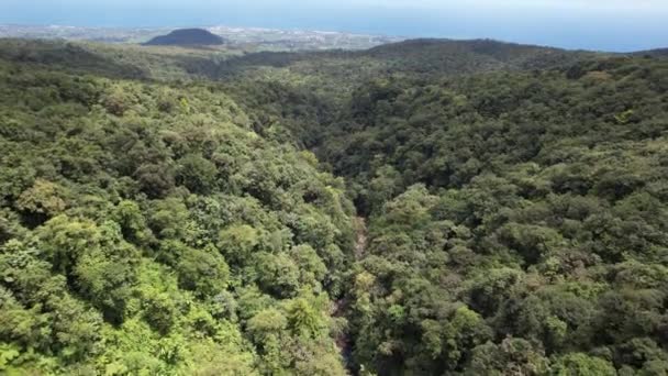 Grande Terre Guadeloupe Dans Les Caraïbes Vue Panoramique Sur Ciel — Video